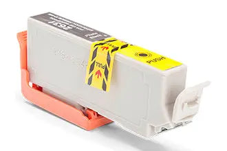 Epson Compatible  C13T33614010 33XL  Photo Black Half Price Ink